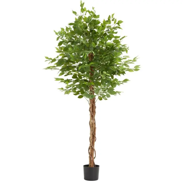 Künstlicher Ficusbaum Fida